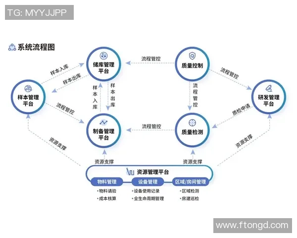 深圳网球队防守革新之路：从传统到现代的全面转型与实践探索